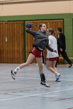 Bild 124 - Damen HSG Kremperheide/M�nsterdorf - Suchsdorfer SV : Ergebnis: 39:22